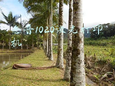 惠普1020激光打印机参数(惠普新一代1020/1005系列智能闪充激光打印机全球首发)
