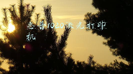 惠普1020激光打印机