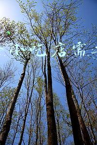 适合一个人的小吃生意：适合一个人开的小吃店