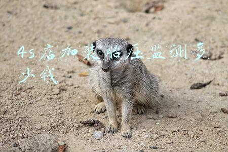 4s店加装胎压监测多少钱