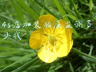 汽车加装胎压监测多少钱《汽车加装胎压监测多少钱能管多少年》