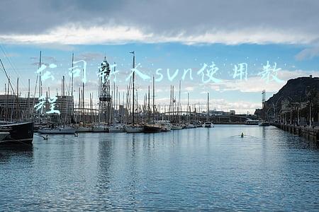 公司新人svn使用教程