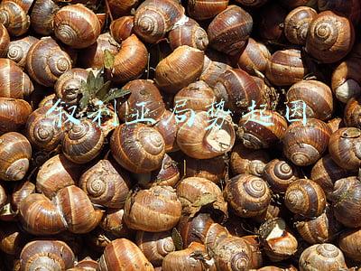 叙利亚局势最新消息24小时滚动更新(叙利亚发生三件大事！俄罗斯突然发动空袭，美军270辆车连夜撤离)