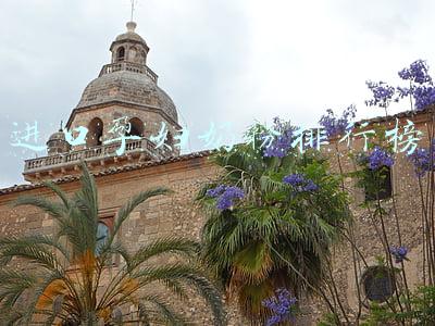 进口孕妇奶粉排行榜前十位有哪些品牌(全球“配方奶粉”排行榜)