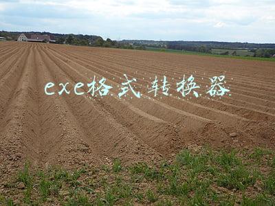 EXE格式转换器手机版(如何批量转化图片格式？这个方法要收藏)