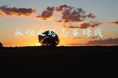 永恒之塔怀旧赚钱攻略(永恒之塔怀旧服升级搬砖路线)
