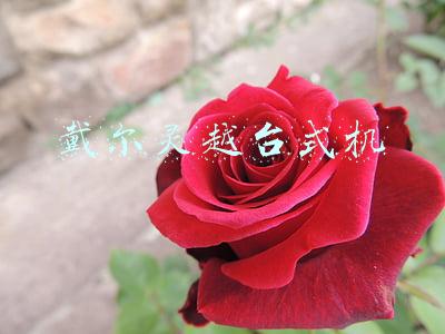 戴尔灵越台式机系列所有型号(戴尔推出灵越3880台式机：i5-10400F+GT 730)
