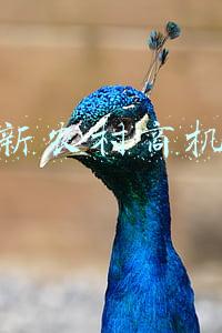 农村好商机(乡村振兴，农村将迎来更好的发展，三个商机值得我们思考)