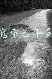 电信宽带包年多少钱