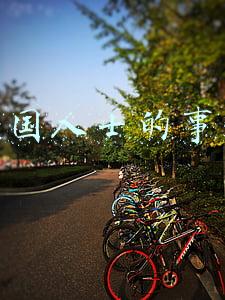 爱国人士的事迹