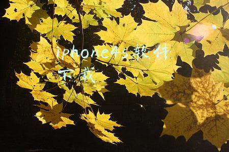iphone4s软件下载