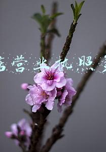 服装店营业执照名称大全_服装店营业执照名字大全
