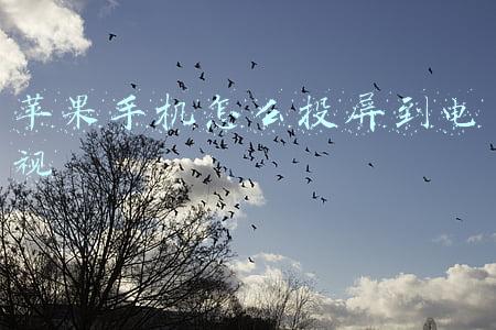 苹果手机怎么投屏到电视