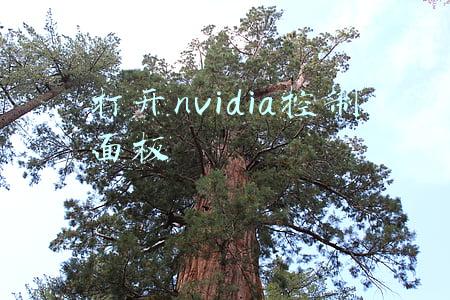 打开nvidia控制面板