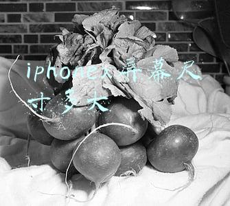 iphone12pro屏幕尺寸多大(雷军：小米 12 Pro 采用 6.73 英寸 2K AMOLED 柔性屏)