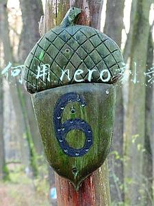 如何用nero刻录dvd