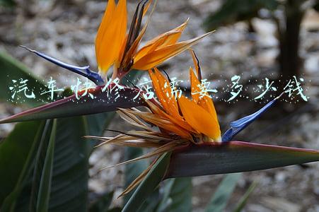 汽车快修加盟店有哪些-汽车快修加盟需要多少钱