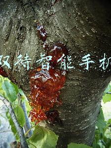 双卡双待智能手机排行