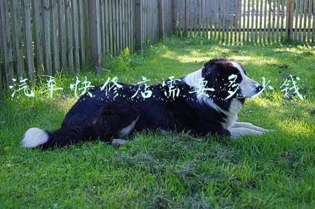 汽车快修保养连锁店品牌（汽车快修保养连锁店）