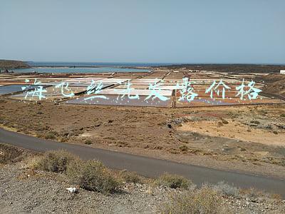 海飞丝洗发露价格
