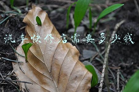 汽车快修店店名(汽车快修店店名大全)
