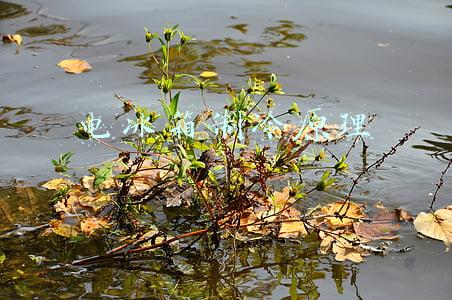 电冰箱制冷原理方框图(变频冰箱的结构组成与制冷原理)