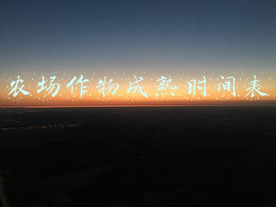 qq农场作物成熟时间表(“他乡成故乡”中国南方水果扎根新疆兵团助民众增收)