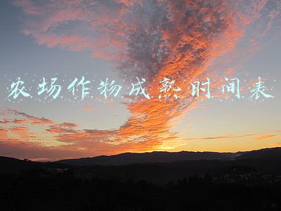 qq农场最赚钱的作物(「摩尔庄园」农场种植作物赚钱攻略)