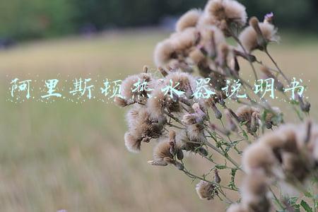 阿里斯顿热水器说明书