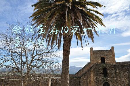 余额宝存10万一天多少钱利息(2020年余额宝存10万每天收益多少？和银行比哪个赚的多)