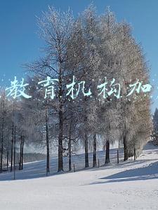 幼儿教育机构加盟费