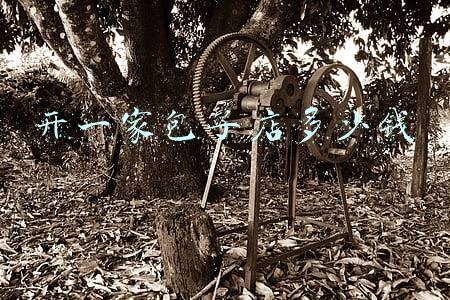 开个包子店《开个包子店需要投资多少钱》