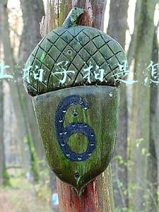 微信上拍了拍是怎么来的