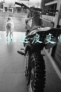 手机速度变慢