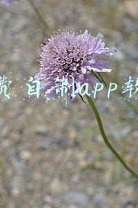 免费自制app软件