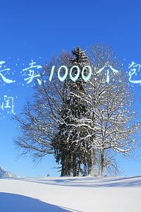 一天卖1000个包子利润有多少(5毛钱一个的包子，还送一碗南瓜粥，一天卖1000多个能赚到钱吗？)