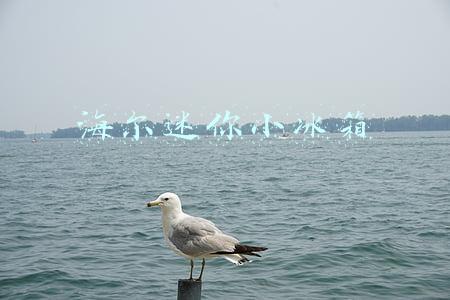 海尔迷你小冰箱