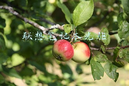 联想笔记本光驱启动按哪个键(联想笔记本重装系统按F几？)