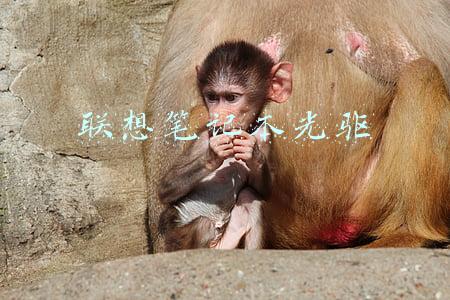 联想笔记本光驱
