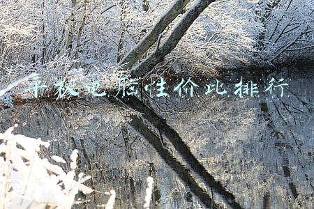 平板电脑性价比排行最值得入手的平板(2021年哪些平板电脑最值得购买？我只推荐这5款，能满足各种需求)
