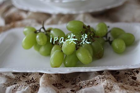 ipa安装
