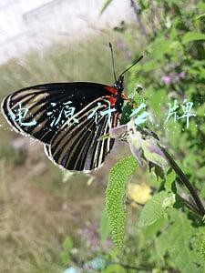 电脑电源什么牌子好
