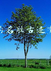 北京的名胜古迹有哪些