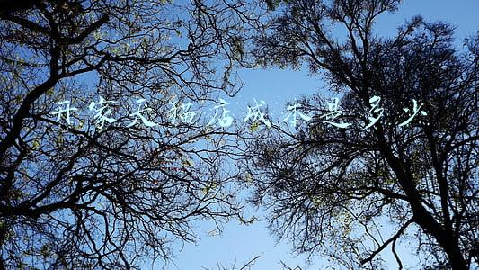 开家天猫店需要多少钱(开一家天猫店需要多少钱)