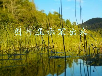 图片显示不出来的原因(揭开艺术品的衰老之谜)