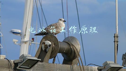 电冰箱工作原理