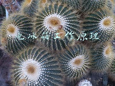 电冰箱工作原理