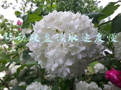 移动硬盘读取速度慢怎么办(科普：移动硬盘怎么买才划算？会玩的都选安全又省事，你呢？)