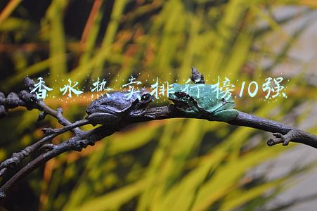 防晒霜热卖排行榜10强(防晒霜排行榜前十名的牌子)