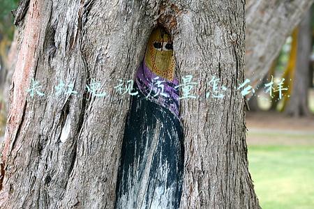 长虹电视质量咋样(家电巨头长虹：曾被美国坑44亿，贱卖总部大楼，如今拿下创新金奖)